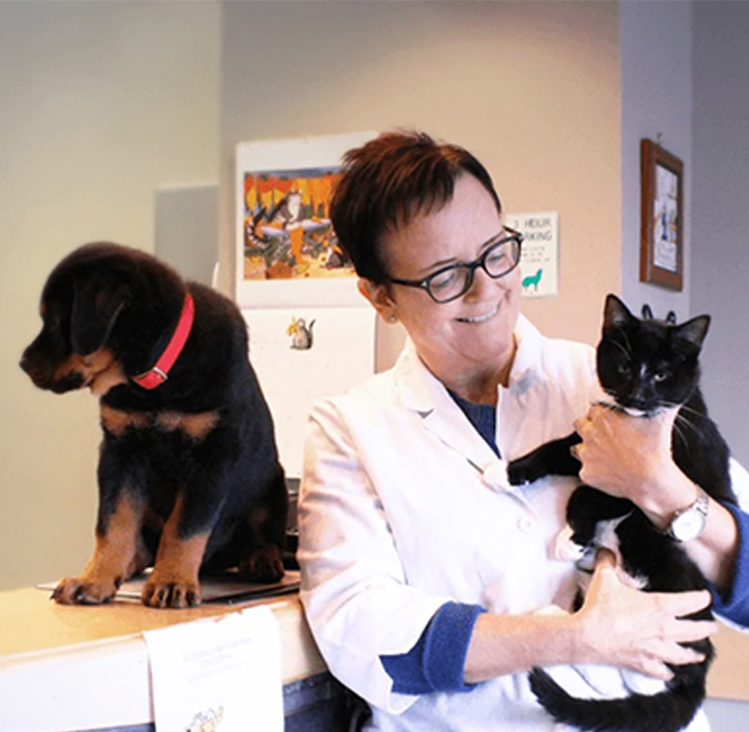 Dr Jane Gates holding a cat and dog in background sitting on reception table