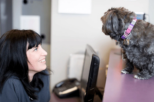 staff member smiling at dog sitting on reception counter