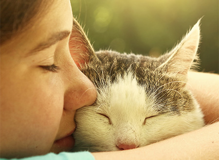 close up faces of young girl hugging older cat