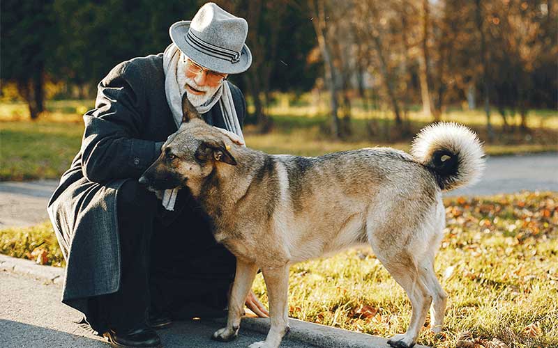 older man kneeling down and petting senior dog