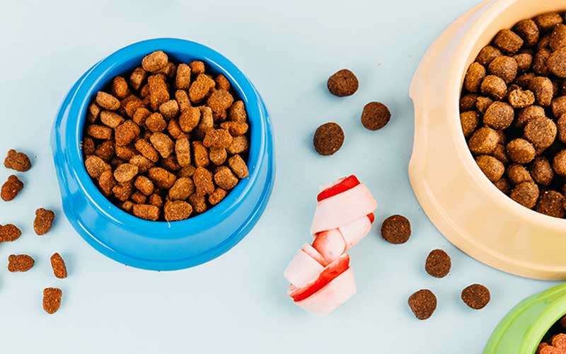 pet food bowls filled with dry kibble